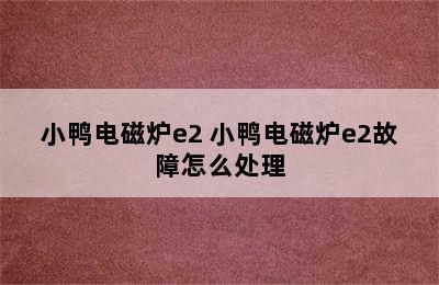 小鸭电磁炉e2 小鸭电磁炉e2故障怎么处理